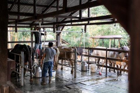 CMN altera norma que trata de renegociação de dívidas do crédito rural ao amparo do Pronaf com recursos dos fundos constitucionais